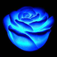 LED color change realistic rose decoration