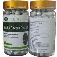 Nature Hoodia Cactus Extract (90 weight loss capsules, 500 mg)