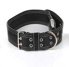Realtime GPS Tracker Leather Dog Collar with GSM/GPRS